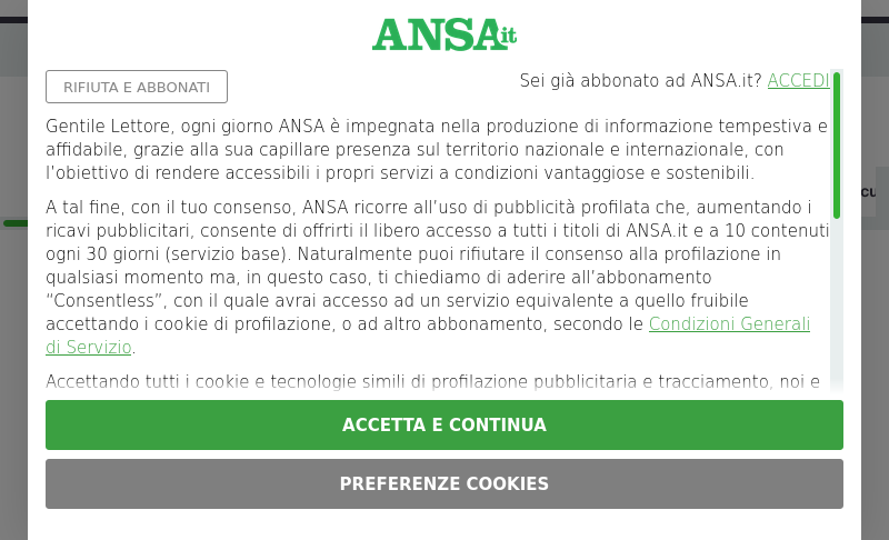 www.ansa.it   