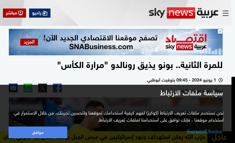 www.skynewsarabia.com   